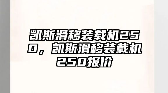 凱斯滑移裝載機250，凱斯滑移裝載機250報價