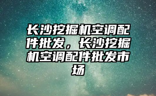 長沙挖掘機(jī)空調(diào)配件批發(fā)，長沙挖掘機(jī)空調(diào)配件批發(fā)市場