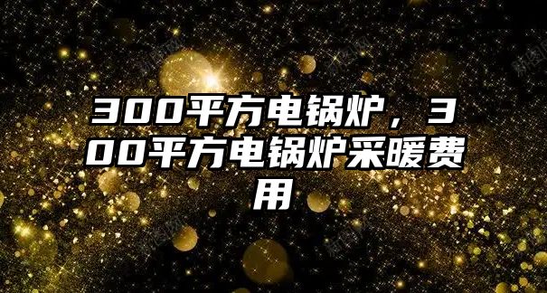 300平方電鍋爐，300平方電鍋爐采暖費(fèi)用