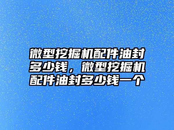 微型挖掘機配件油封多少錢，微型挖掘機配件油封多少錢一個