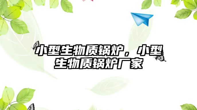 小型生物質(zhì)鍋爐，小型生物質(zhì)鍋爐廠家