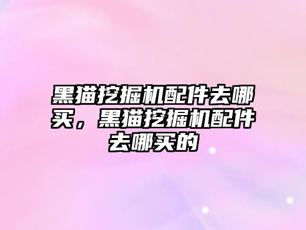 黑貓挖掘機配件去哪買，黑貓挖掘機配件去哪買的