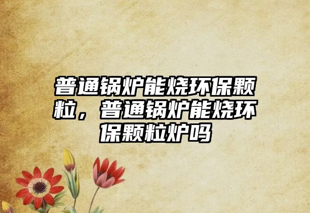 普通鍋爐能燒環(huán)保顆粒，普通鍋爐能燒環(huán)保顆粒爐嗎