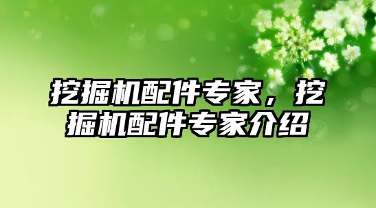 挖掘機配件專家，挖掘機配件專家介紹