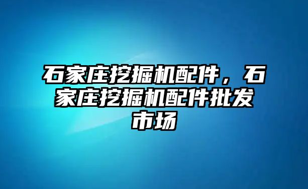 石家莊挖掘機(jī)配件，石家莊挖掘機(jī)配件批發(fā)市場