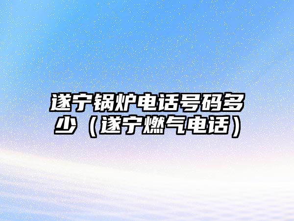 遂寧鍋爐電話號碼多少（遂寧燃?xì)怆娫挘?/>	
								</i>
								<p class=