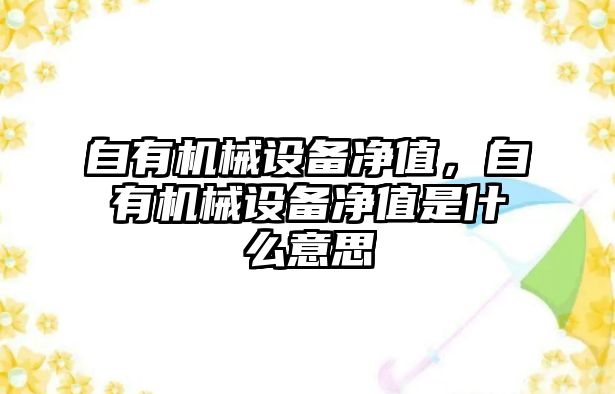 自有機械設備凈值，自有機械設備凈值是什么意思