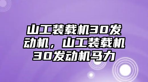 山工裝載機(jī)30發(fā)動(dòng)機(jī)，山工裝載機(jī)30發(fā)動(dòng)機(jī)馬力