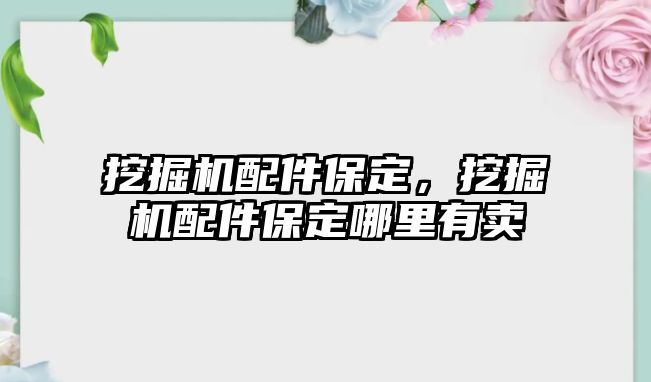 挖掘機配件保定，挖掘機配件保定哪里有賣