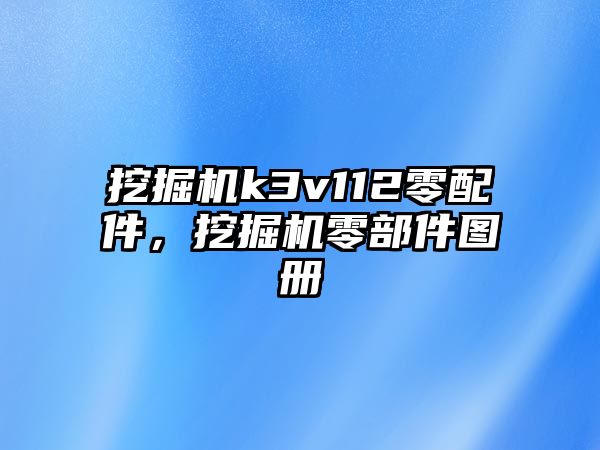 挖掘機k3v112零配件，挖掘機零部件圖冊