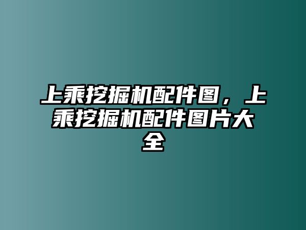 上乘挖掘機(jī)配件圖，上乘挖掘機(jī)配件圖片大全