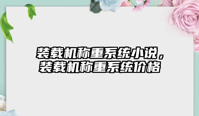 裝載機稱重系統(tǒng)小說，裝載機稱重系統(tǒng)價格