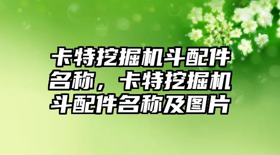 卡特挖掘機斗配件名稱，卡特挖掘機斗配件名稱及圖片