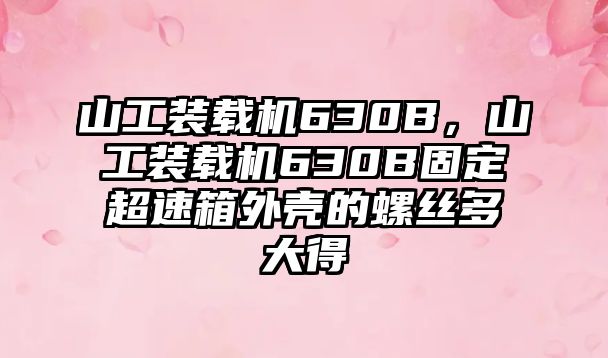 山工裝載機630B，山工裝載機630B固定超速箱外殼的螺絲多大得