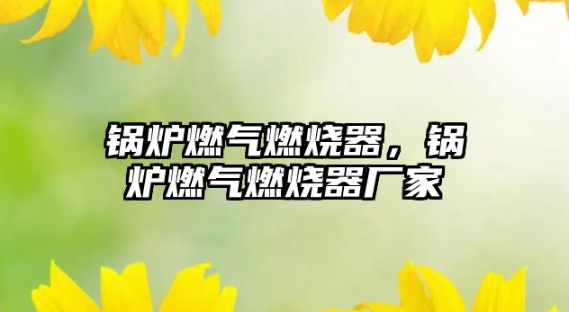 鍋爐燃?xì)馊紵?，鍋爐燃?xì)馊紵鲝S(chǎng)家