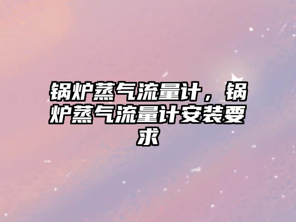 鍋爐蒸氣流量計，鍋爐蒸氣流量計安裝要求