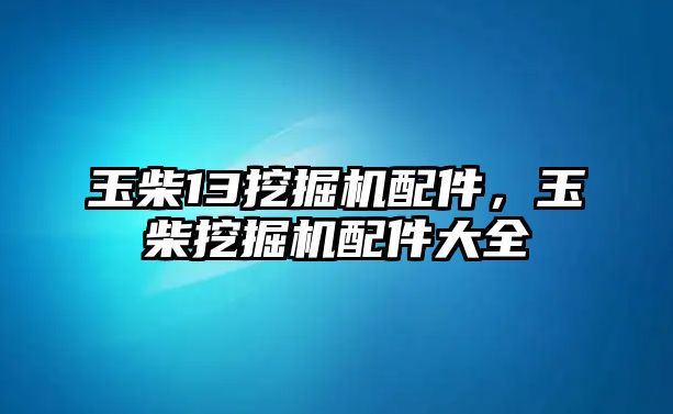 玉柴13挖掘機(jī)配件，玉柴挖掘機(jī)配件大全