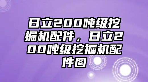 日立200噸級(jí)挖掘機(jī)配件，日立200噸級(jí)挖掘機(jī)配件圖