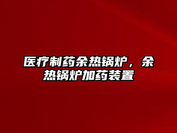 醫(yī)療制藥余熱鍋爐，余熱鍋爐加藥裝置