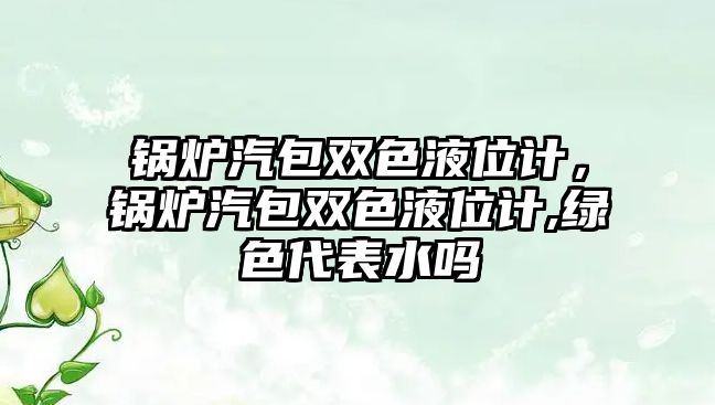 鍋爐汽包雙色液位計，鍋爐汽包雙色液位計,綠色代表水嗎