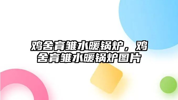 雞舍育雛水暖鍋爐，雞舍育雛水暖鍋爐圖片