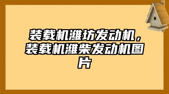 裝載機(jī)濰坊發(fā)動(dòng)機(jī)，裝載機(jī)濰柴發(fā)動(dòng)機(jī)圖片