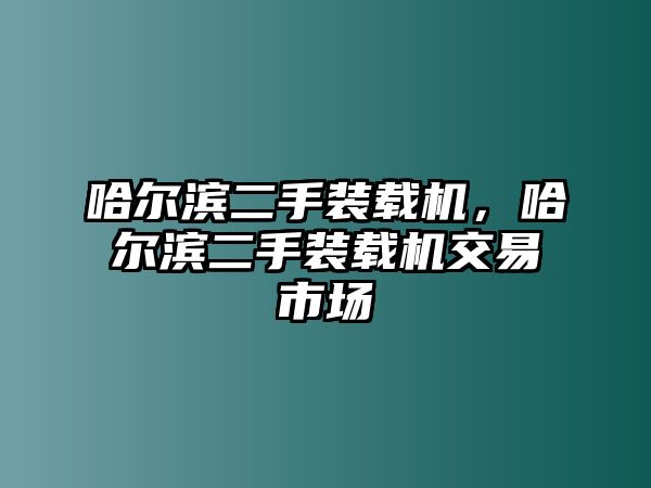 哈爾濱二手裝載機(jī)，哈爾濱二手裝載機(jī)交易市場(chǎng)