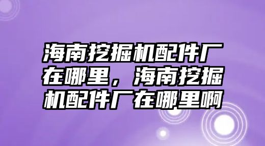 海南挖掘機配件廠在哪里，海南挖掘機配件廠在哪里啊