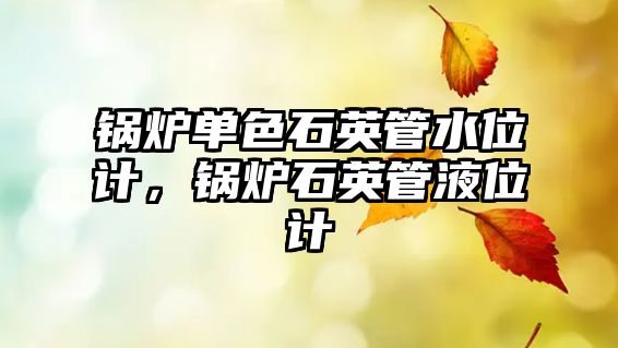 鍋爐單色石英管水位計，鍋爐石英管液位計