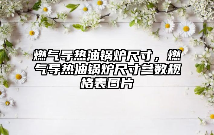 燃?xì)鈱?dǎo)熱油鍋爐尺寸，燃?xì)鈱?dǎo)熱油鍋爐尺寸參數(shù)規(guī)格表圖片