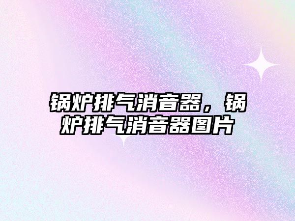 鍋爐排氣消音器，鍋爐排氣消音器圖片