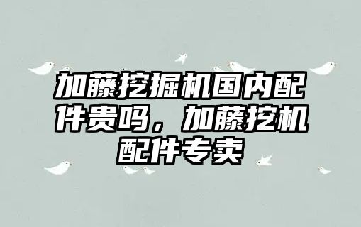 加藤挖掘機(jī)國(guó)內(nèi)配件貴嗎，加藤挖機(jī)配件專賣