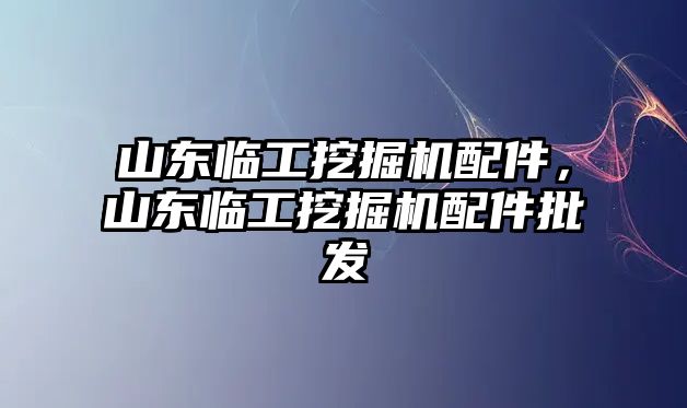 山東臨工挖掘機配件，山東臨工挖掘機配件批發(fā)