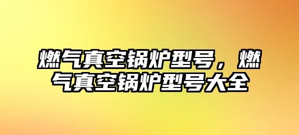 燃?xì)庹婵斟仩t型號，燃?xì)庹婵斟仩t型號大全