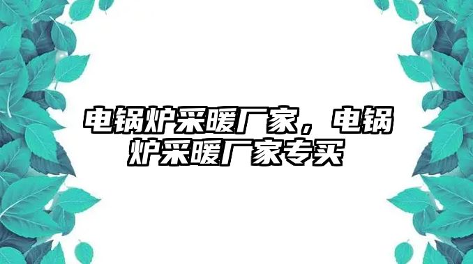 電鍋爐采暖廠家，電鍋爐采暖廠家專買