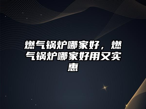 燃?xì)忮仩t哪家好，燃?xì)忮仩t哪家好用又實(shí)惠