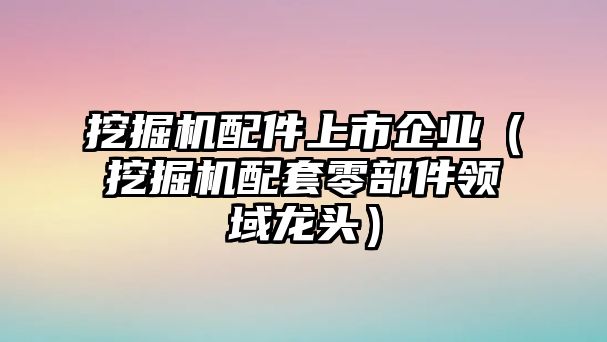 挖掘機配件上市企業(yè)（挖掘機配套零部件領域龍頭）