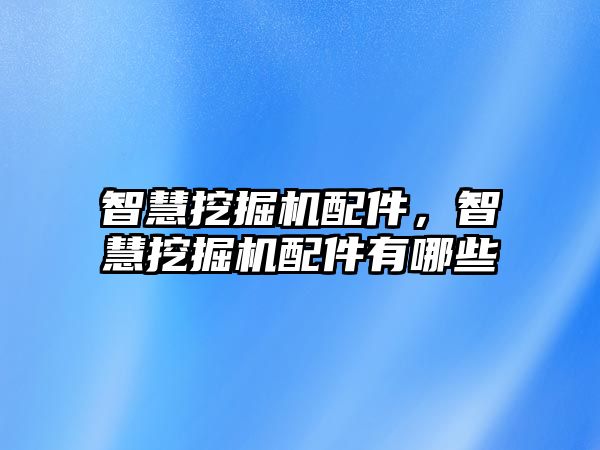 智慧挖掘機配件，智慧挖掘機配件有哪些