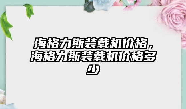 海格力斯裝載機(jī)價(jià)格，海格力斯裝載機(jī)價(jià)格多少