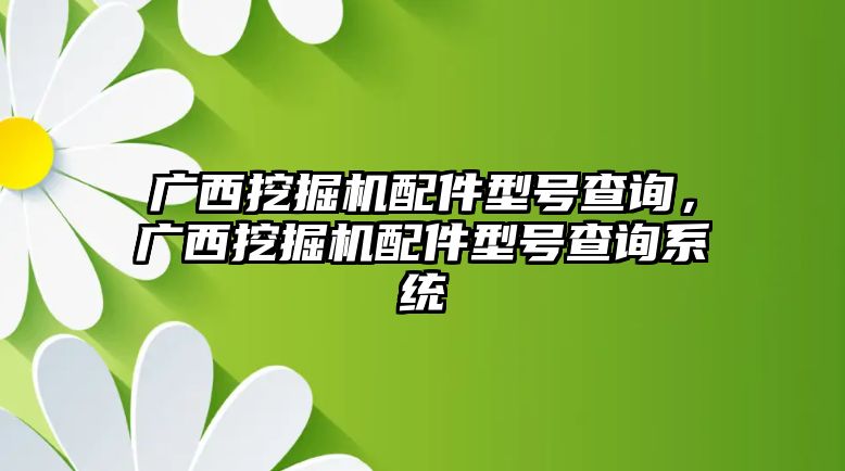 廣西挖掘機(jī)配件型號(hào)查詢，廣西挖掘機(jī)配件型號(hào)查詢系統(tǒng)