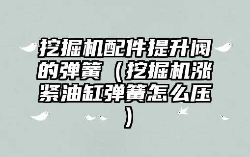 挖掘機配件提升閥的彈簧（挖掘機漲緊油缸彈簧怎么壓）