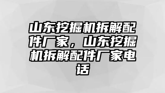 山東挖掘機(jī)拆解配件廠家，山東挖掘機(jī)拆解配件廠家電話