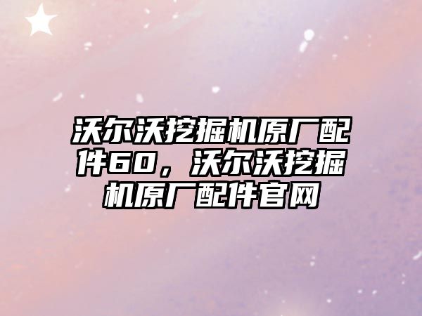 沃爾沃挖掘機原廠配件60，沃爾沃挖掘機原廠配件官網(wǎng)