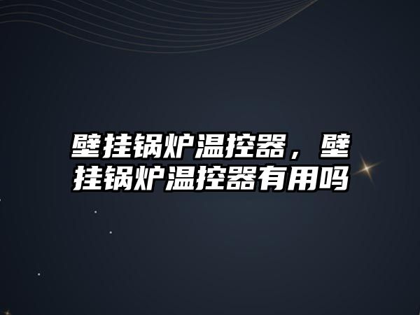 壁掛鍋爐溫控器，壁掛鍋爐溫控器有用嗎