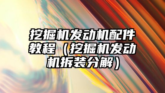 挖掘機發(fā)動機配件教程（挖掘機發(fā)動機拆裝分解）