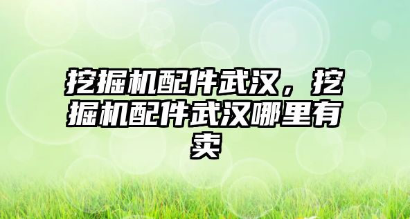 挖掘機配件武漢，挖掘機配件武漢哪里有賣