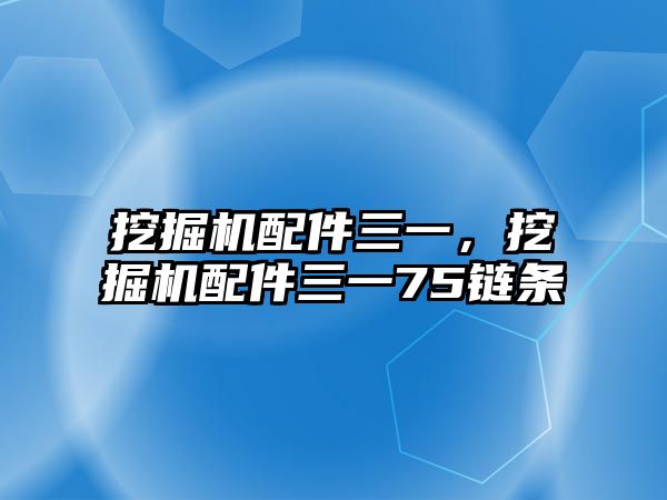 挖掘機(jī)配件三一，挖掘機(jī)配件三一75鏈條