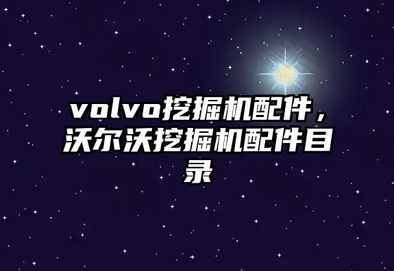 volvo挖掘機配件，沃爾沃挖掘機配件目錄