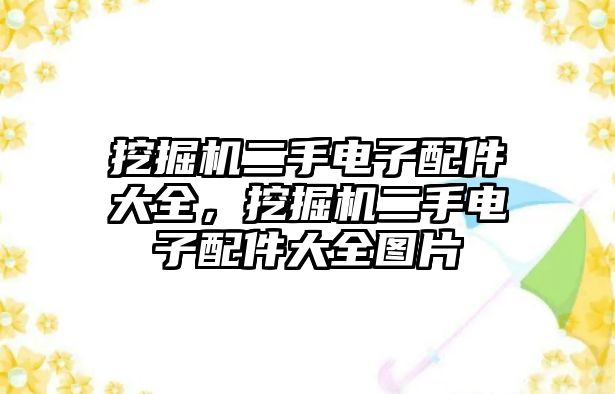 挖掘機(jī)二手電子配件大全，挖掘機(jī)二手電子配件大全圖片