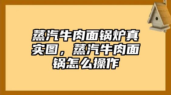 蒸汽牛肉面鍋爐真實圖，蒸汽牛肉面鍋怎么操作